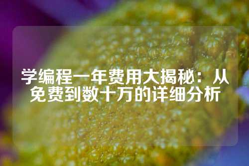 学编程一年费用大揭秘：从免费到数十万的详细分析