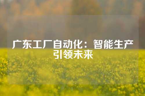 广东工厂自动化：智能生产引领未来