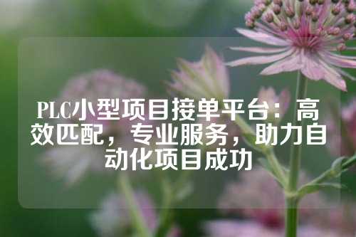 PLC小型项目接单平台：高效匹配，专业服务，助力自动化项目成功