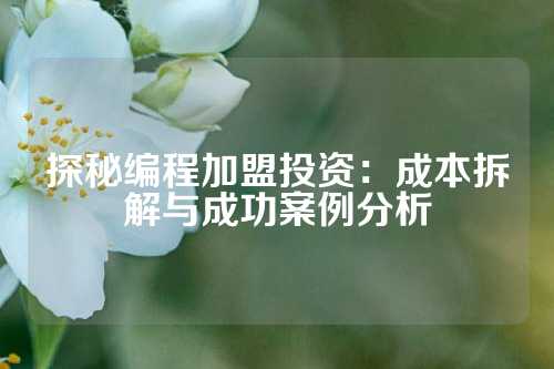 探秘编程加盟投资：成本拆解与成功案例分析
