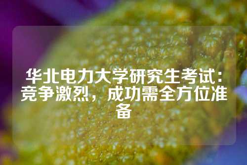 华北电力大学研究生考试：竞争激烈，成功需全方位准备