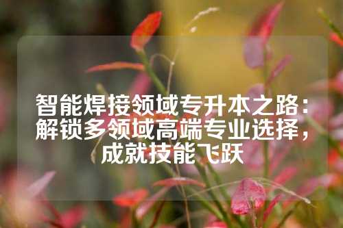 智能焊接领域专升本之路:解锁多领域高端专业选择,成就技能飞跃