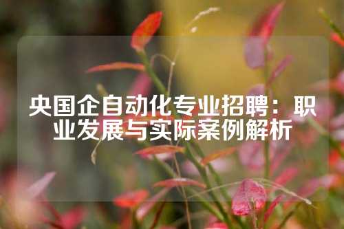 央国企自动化专业招聘：职业发展与实际案例解析