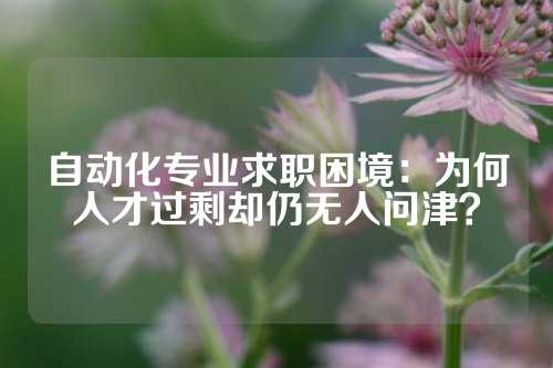 自动化专业求职困境：为何人才过剩却仍无人问津？