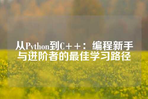 从Python到C++：编程新手与进阶者的最佳学习路径