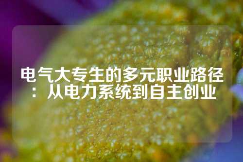 电气大专生的多元职业路径：从电力系统到自主创业