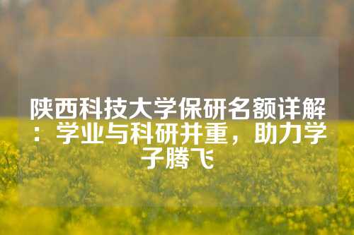 陕西科技大学保研名额详解：学业与科研并重，助力学子腾飞
