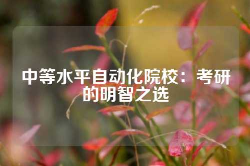 中等水平自动化院校：考研的明智之选