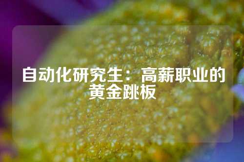 自动化研究生：高薪职业的黄金跳板