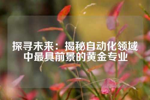探寻未来：揭秘自动化领域中最具前景的黄金专业
