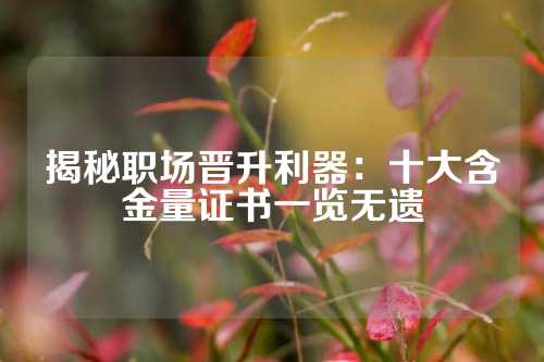 揭秘职场晋升利器:十大含金量证书一览无遗