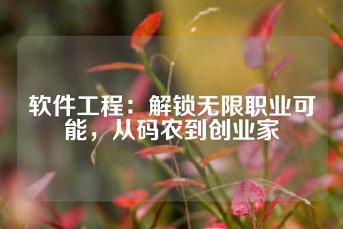 软件工程：解锁无限职业可能，从码农到创业家