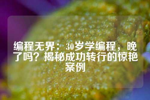 编程无界：30岁学编程，晚了吗？揭秘成功转行的惊艳案例