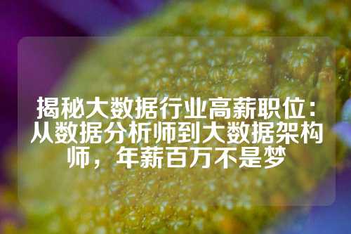 揭秘大数据行业高薪职位：从数据分析师到大数据架构师，年薪百万不是梦