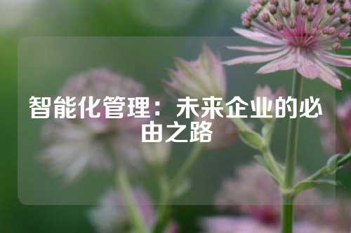 智能化管理：未来企业的必由之路