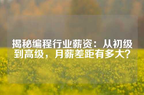 揭秘编程行业薪资：从初级到高级，月薪差距有多大？