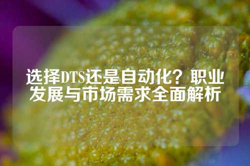 选择DTS还是自动化？职业发展与市场需求全面解析