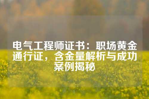 电气工程师证书：职场黄金通行证，含金量解析与成功案例揭秘