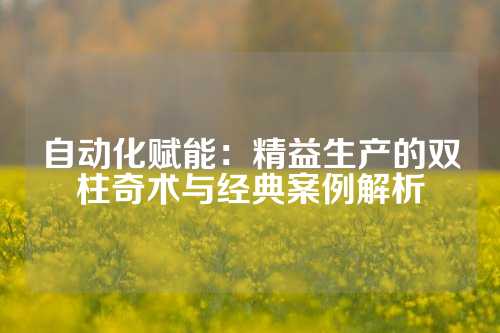 自动化赋能：精益生产的双柱奇术与经典案例解析