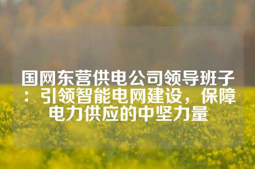 国网东营供电公司领导班子：引领智能电网建设，保障电力供应的中坚力量