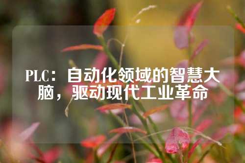 PLC：自动化领域的智慧大脑，驱动现代工业革命