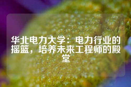华北电力大学：电力行业的摇篮，培养未来工程师的殿堂