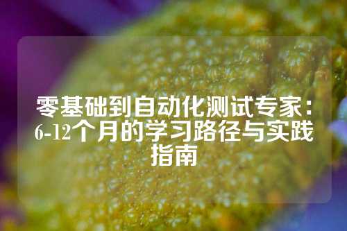 零基础到自动化测试专家：6-12个月的学习路径与实践指南