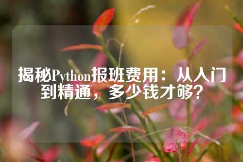揭秘Python报班费用：从入门到精通，多少钱才够？