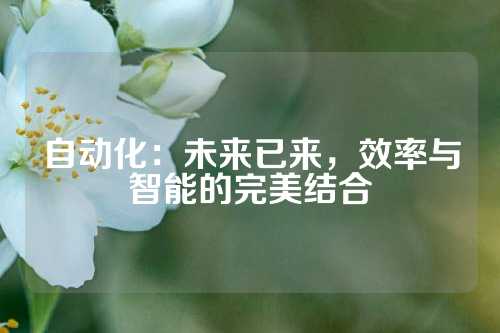自动化：未来已来，效率与智能的完美结合