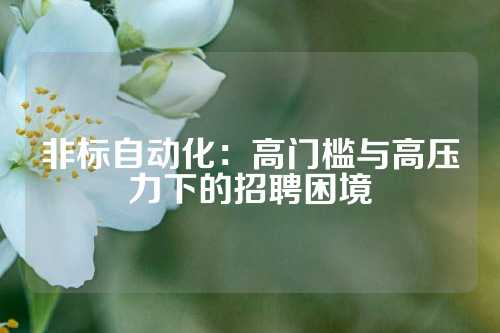 非标自动化：高门槛与高压力下的招聘困境