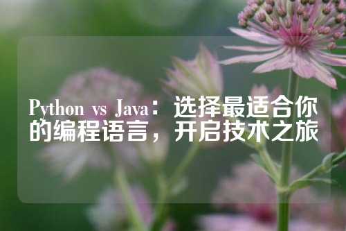 Python vs Java：选择最适合你的编程语言，开启技术之旅
