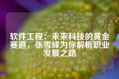 软件工程：未来科技的黄金赛道，张雪峰为你解析职业发展之路