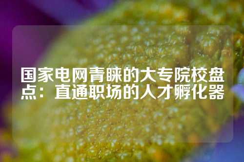 国家电网青睐的大专院校盘点:直通职场的人才孵化器