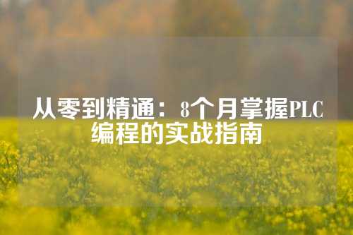 从零到精通：8个月掌握PLC编程的实战指南