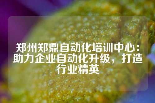 郑州郑鼎自动化培训中心：助力企业自动化升级，打造行业精英
