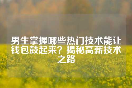 男生掌握哪些热门技术能让钱包鼓起来?揭秘高薪技术之路