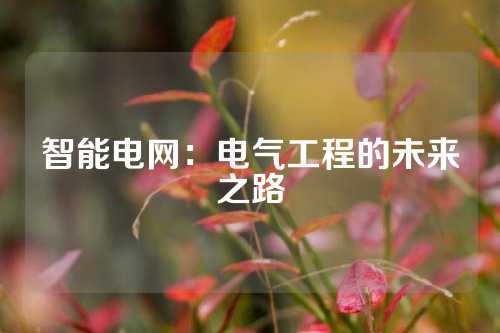 智能电网：电气工程的未来之路