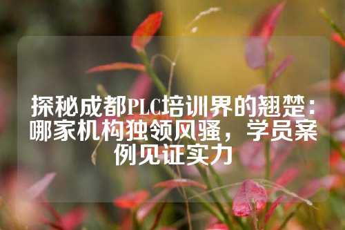 探秘成都PLC培训界的翘楚：哪家机构独领风骚，学员案例见证实力