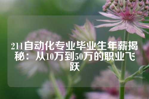 211自动化专业毕业生年薪揭秘：从10万到50万的职业飞跃