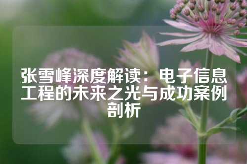张雪峰深度解读：电子信息工程的未来之光与成功案例剖析