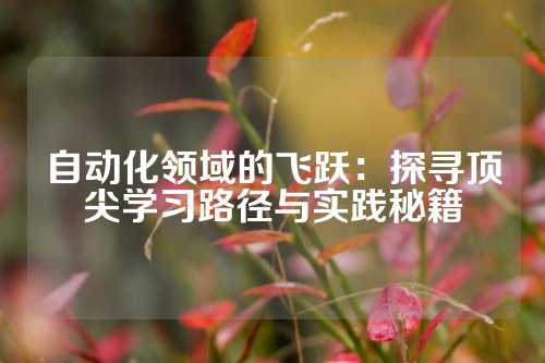 自动化领域的飞跃：探寻顶尖学习路径与实践秘籍