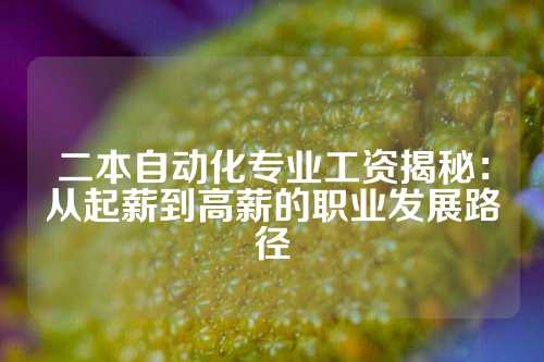 二本自动化专业工资揭秘：从起薪到高薪的职业发展路径