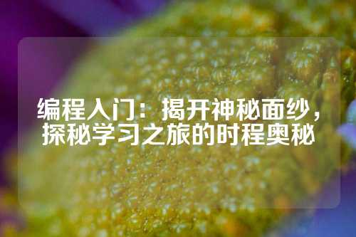编程入门：揭开神秘面纱，探秘学习之旅的时程奥秘