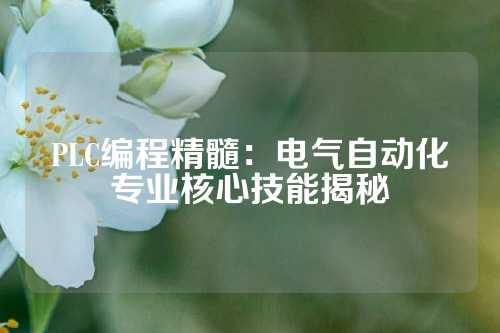 PLC编程精髓：电气自动化专业核心技能揭秘