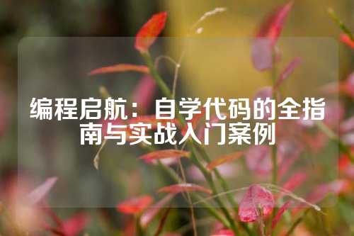 编程启航：自学代码的全指南与实战入门案例