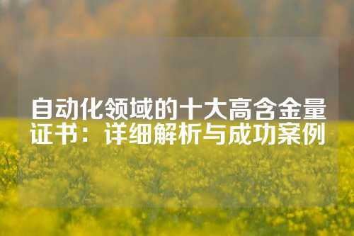 自动化领域的十大高含金量证书:详细解析与成功案例