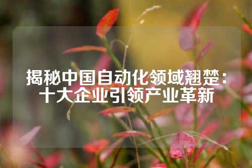 揭秘中国自动化领域翘楚:十大企业引领产业革新