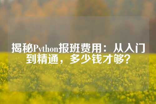 揭秘Python报班费用：从入门到精通，多少钱才够？