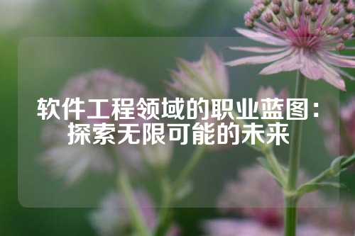 软件工程领域的职业蓝图：探索无限可能的未来
