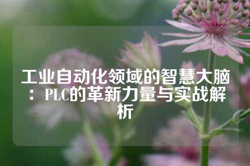 工业自动化领域的智慧大脑：PLC的革新力量与实战解析